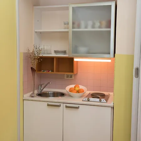 Guest house Nirvana Apartment&room 4*